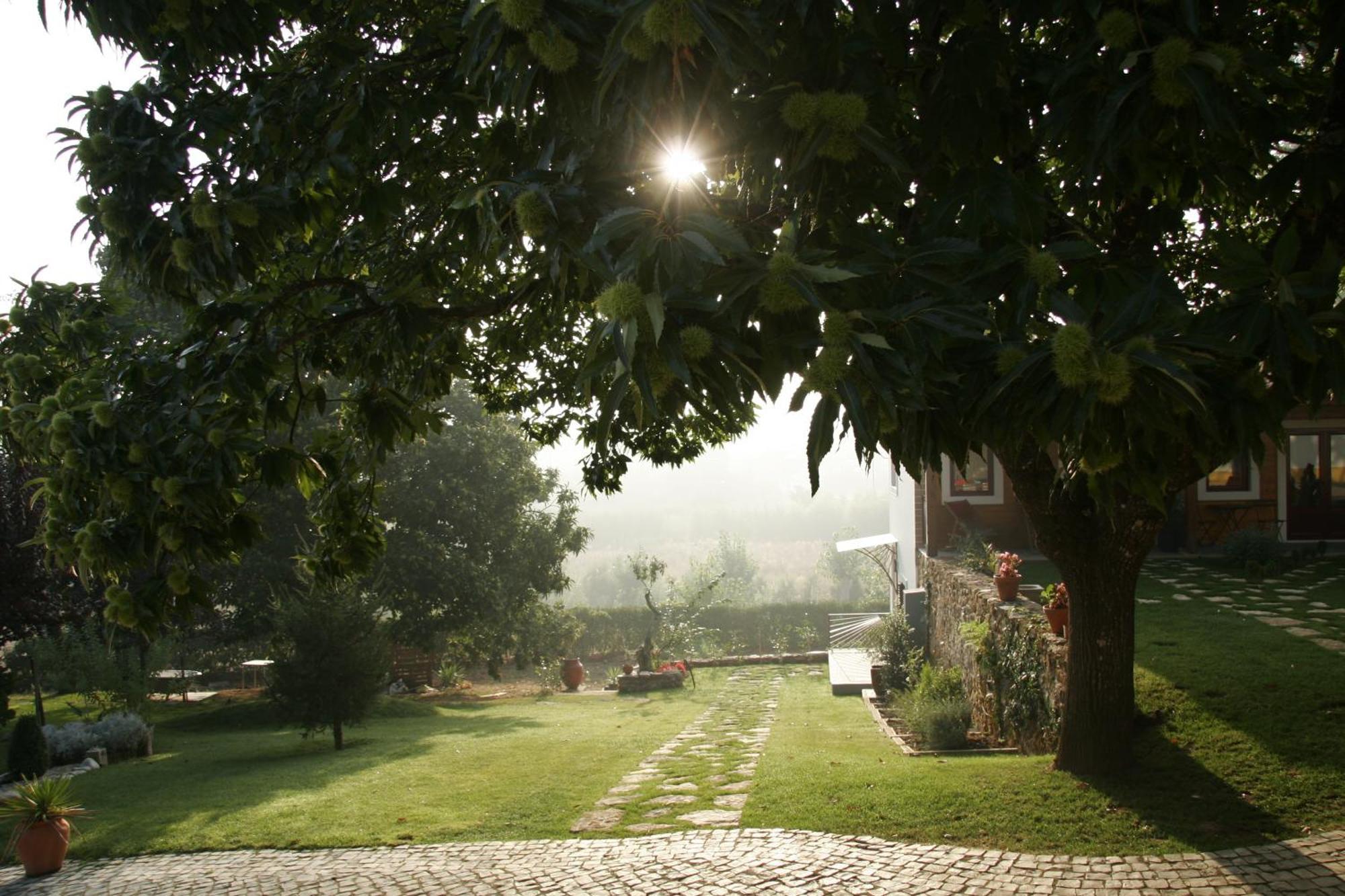 Vila Dos Castanheiros Ferreira do Zezere Exterior photo